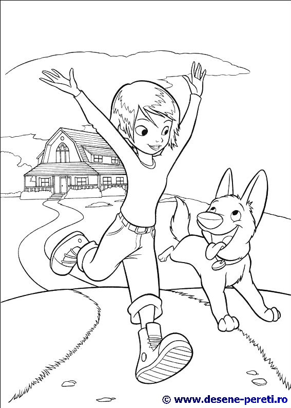 bolt desene colorat